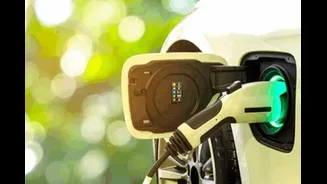 EVs Could Save India Rs 1 Lakh Crore In Oil Imports By 2030: SBI