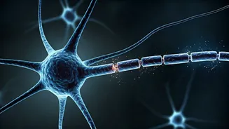 Understanding Motor Neuron Disease: What It Is and Its Devastating Impact