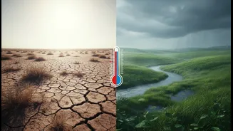 Why India's Forecasts Mention El Niño And La Niña