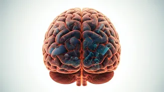 Boost Brainpower: Exercise Routines for Dementia Prevention