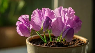 Related Stories banner