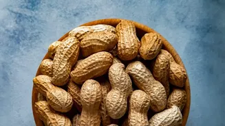 Moisture Is the Main Enemy of Stored Salt-Roasted Peanuts