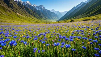 Trekkers Should Plan Valley Permits Early