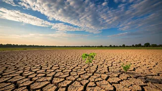 IMD's Outlook May Affect Everyday Decisions