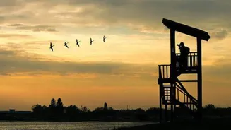 5 birdwatching spots you can't miss in Portugal