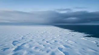 A Closer Scientific Look At A New Climate-Modelling Puzzle Piece Through The New Arctic Cloud-Particle Study