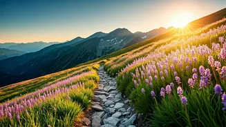 Flower Trails Are Winning Over Heat-Tired Travellers