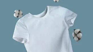 Inside Winter Woollen Care: Why A Cotton Base Layer Can Help