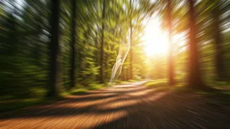 Running and Knee Health: Debunking Myths and Embracing the Truth