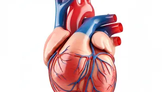 Tackling Diabetes, BP, & Cholesterol: A Unified Approach