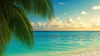 6 Solo Travel Spots: Women's Guide for 2026