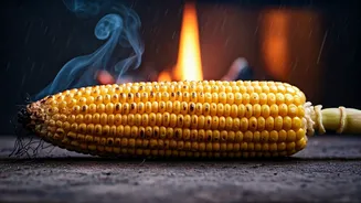 Roasted Bhutta Is The Real Monsoon Star