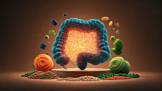 High-Fibre Food Is Getting A 2026 Glow-Up