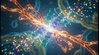 Protein Digestibility Could Matter More Than Many Fitness Enthusiasts Realise