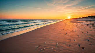 Related Stories banner