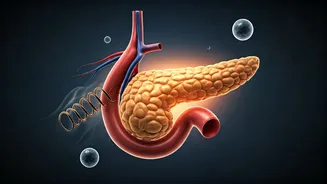 Related Stories banner