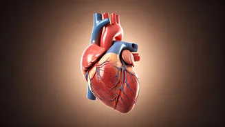 Unveiling Subtle Heart Attack Warnings: A Cardiologist's Guide