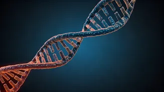 India-Russia Ties: Examining Recent Developments