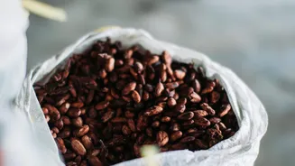 Why cacao beans deserve a spot in your healthy diet
