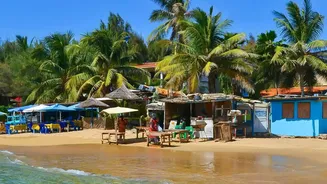From Beach Shacks To Local Kitchens, Odisha's Coastal Flavours Are Drawing Visitors