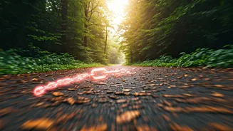 Fitness Apps Celebrate Step Count Streaks