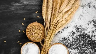 Researchers Urge Balanced Understanding Of Ultra-Processed Foods Instead Of Panic