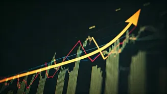 Nifty's Steady Climb: Key Levels to Watch