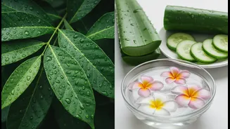 Simple Monsoon Self-Care Habits For Healthy Skin And Hair