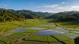 Ziro Valley Remote Work Stays: Experience Arunachal Music Festival Season Like A Local