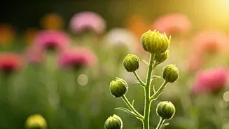 Hanuman Jayanti 2025: 50 Heartfelt Wishes & Blessings for Family and Friends