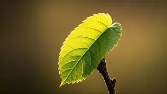 The Art of Self-Preservation: Lessons Women Can Learn From Men's 'Selfishness'