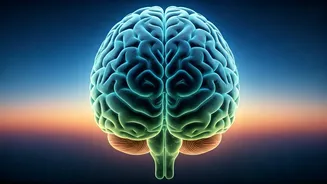 Calming the Storm: Understanding and Managing Your Anxious Brain