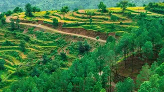August Holiday Guide: Where In India To Find Greenery And Rain
