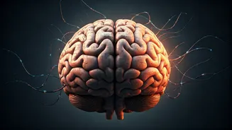 Therapist's Testimony In Social Media Addiction Trial Shifts Focus on Platform Design