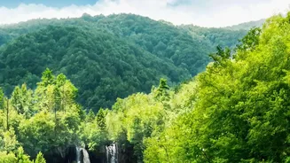 Unique lakes of Northeast India
