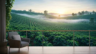 These Coffee Estate Stays Feel Magical