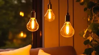 Why Lighting Is Becoming One Of The Most Flexible Ways To Personalise An Indian Rental