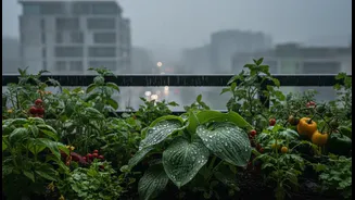 The Smartest Way for Urban Renters and Home Gardeners to Read the Monsoon Balcony Micro-Gardens Story