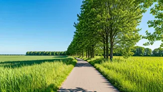 Pedal Through Paradise: 5 Breathtaking Cycling Routes in Denmark