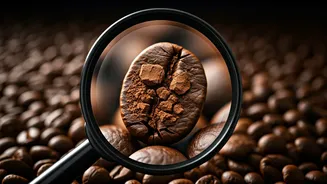 Home Coffee Purity Tests: Busting Fake Products & Safeguarding Your Health