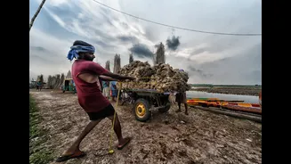 India's Power Plants Face Coal Shortages Amid El Niño Impact