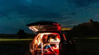 Stargazing For First-Timers: How To Begin Without Expensive Equipment