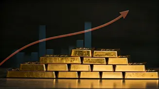 India's November Business Landscape: Exports Rise, Market Shifts