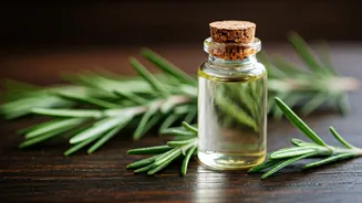 Rosemary Oil for Hair: Does Science Back the Hype?