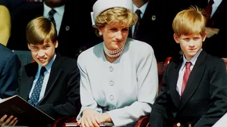 Príncipe Harry teria medo de ter o mesmo fim de Diana