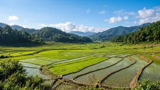 Ziro Valley Workation Spots: Enjoy High-Speed Internet And Music Festivals In Arunachal