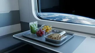 Axiom-4 Showed Why Space Food Needs More Than Familiar Taste