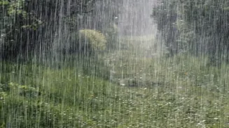 Coorg Coffee Estate Stays Offer Rejuvenating Off Season Monsoon Escapes For Stressed Millennial Travellers