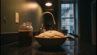 Why Humid Apartment Kitchens Function As High-Velocity Fermenting Enclosures In Mid-July Seasons