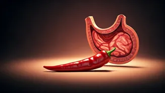 Spicy Surprise: Unpacking the Chili Pepper and Cancer Connection